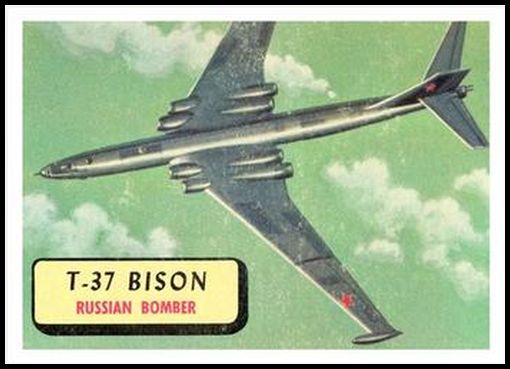 112 T 37 Bison
